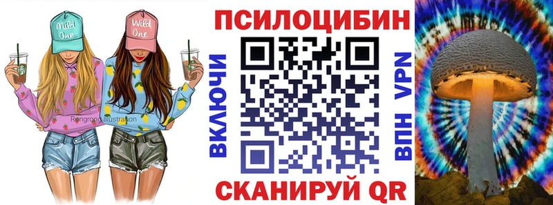 Псилоцибиновые грибы Cubensis  Купить где  Малоярославец 